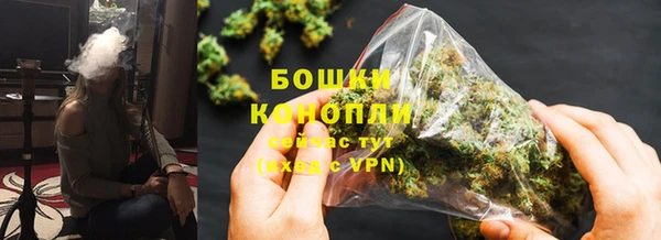 амф Арсеньев