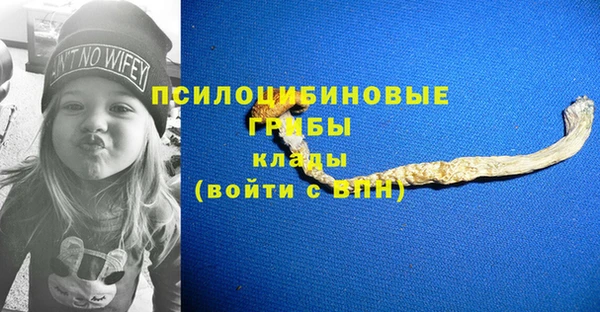 амф Арсеньев
