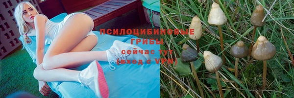 амф Арсеньев