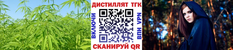 ТГК Wax Губкинский